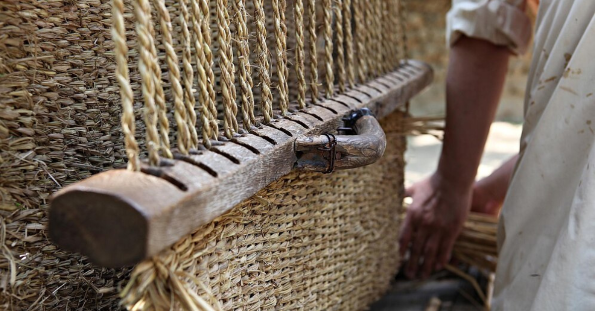 Maximizing Plant Health with Coco Peat: A Sustainable Gardening Marvel
                                        